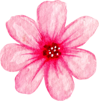 Watercolor pink flower